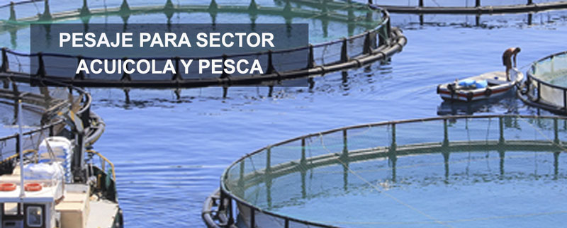 Pesaje para Sector Acuicola y Pesca